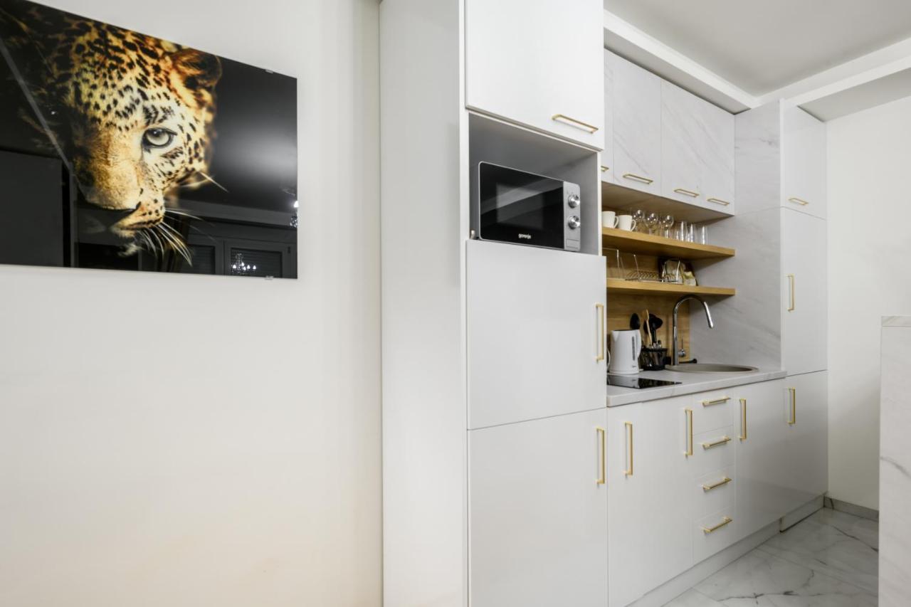 Jednosobni Apartman Ted - One Bedroomed Apartment Ted Sajmiste Exterior photo
